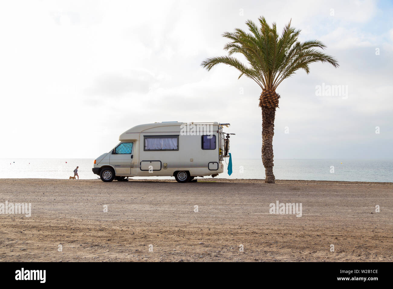 Person walking on beach with mobile caravan near a palm tree Stock Photo