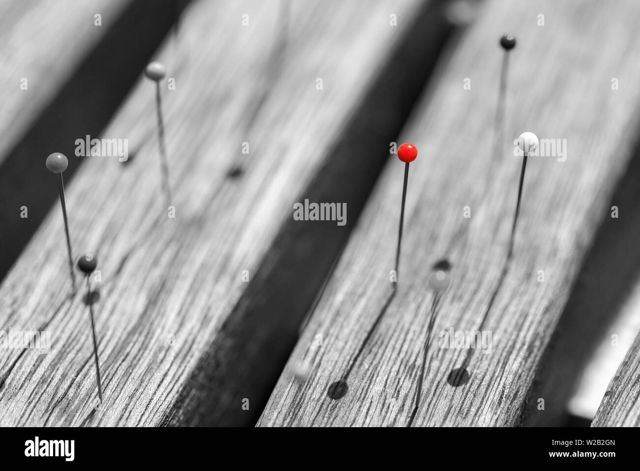 black and white pinheads with a single red marker Stock Photo - Alamy