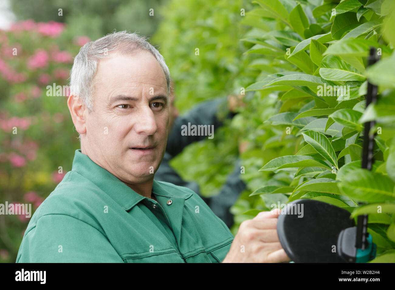 close view of mature man using hedge cutter Stock Photo