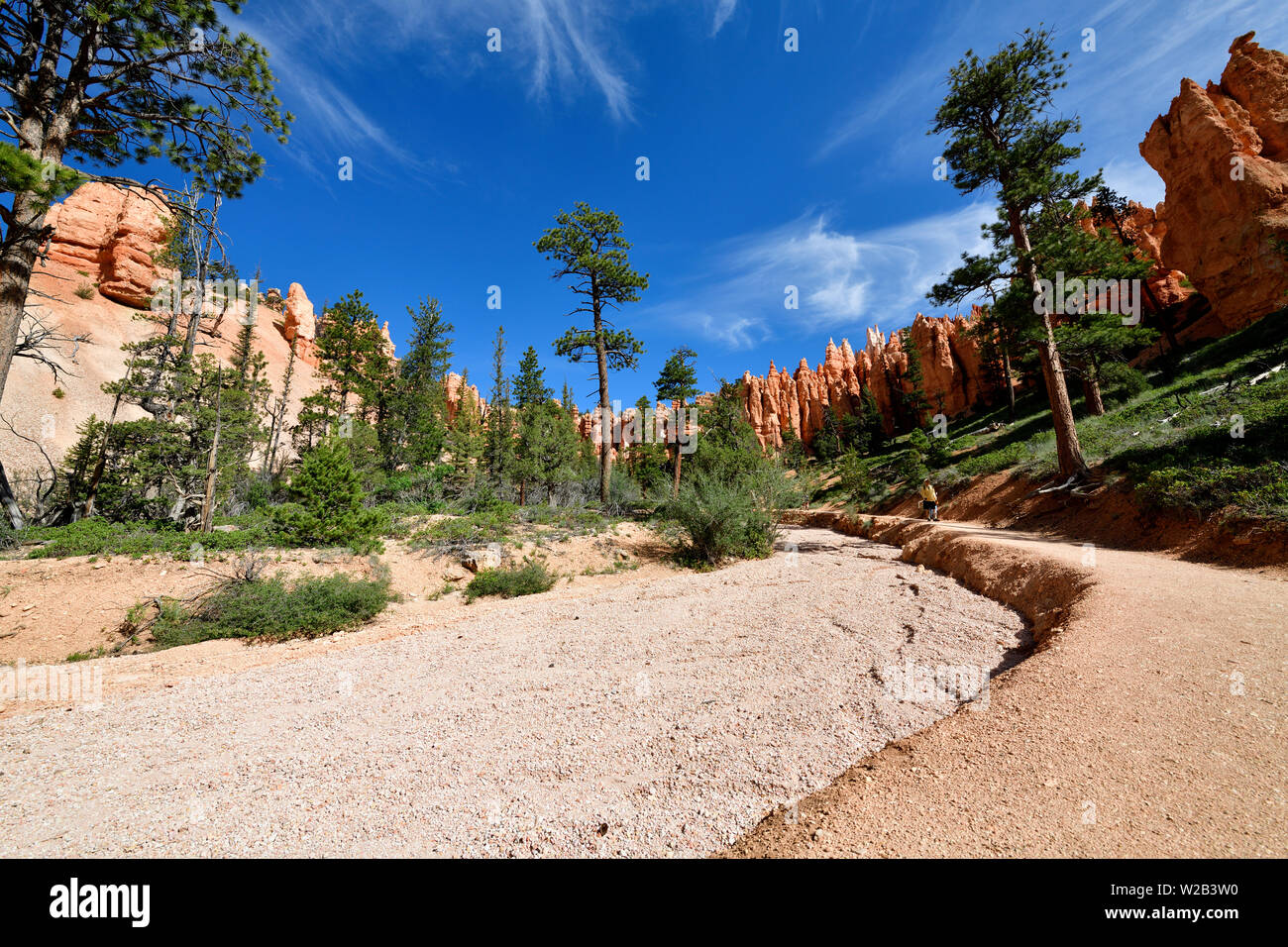 The Hoodoos in Bryce Canyon National Park, Utah Stock Photo