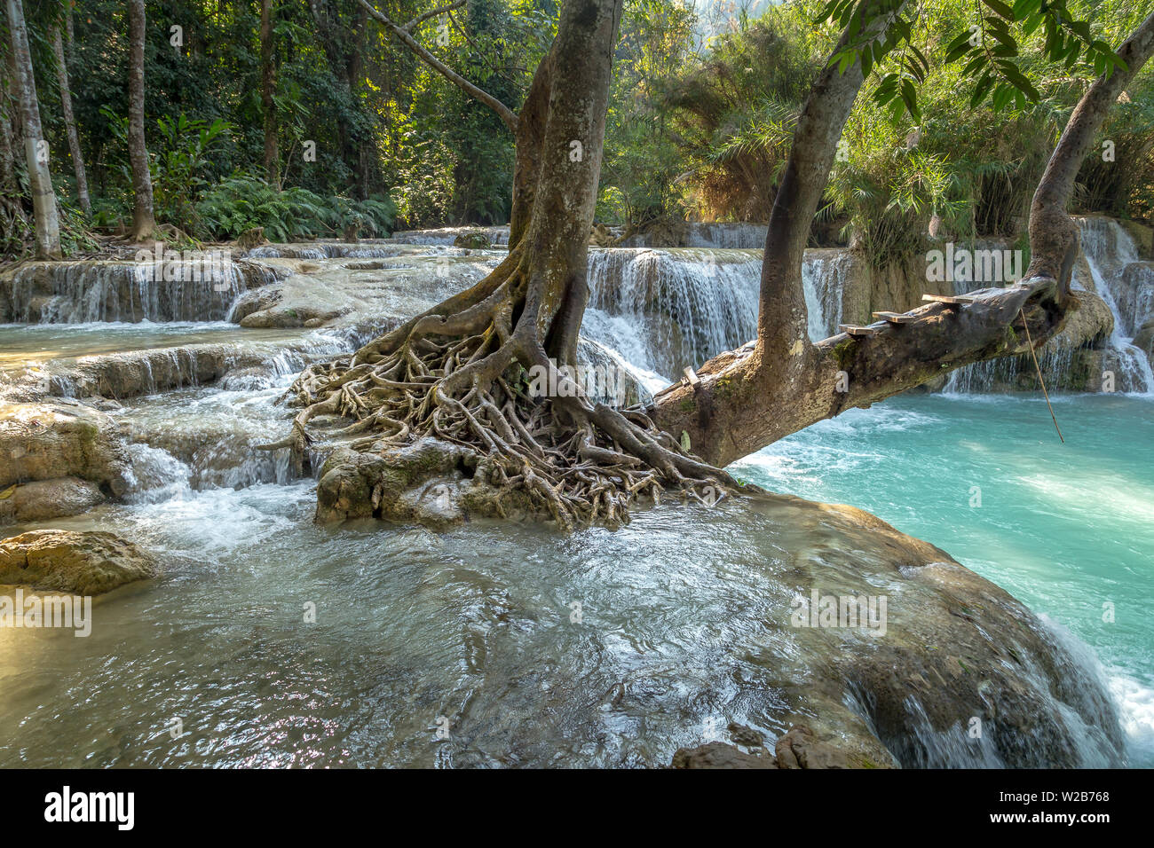 Laos rainforest hi-res stock photography and images - Alamy