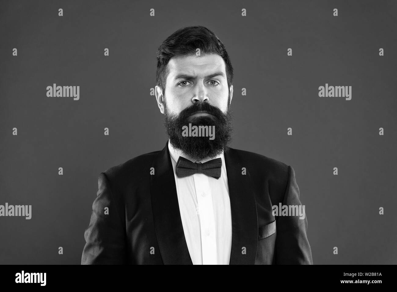 Bearded Man In Tuxedo And Bow Tie Formal Event Bearded Man Groom