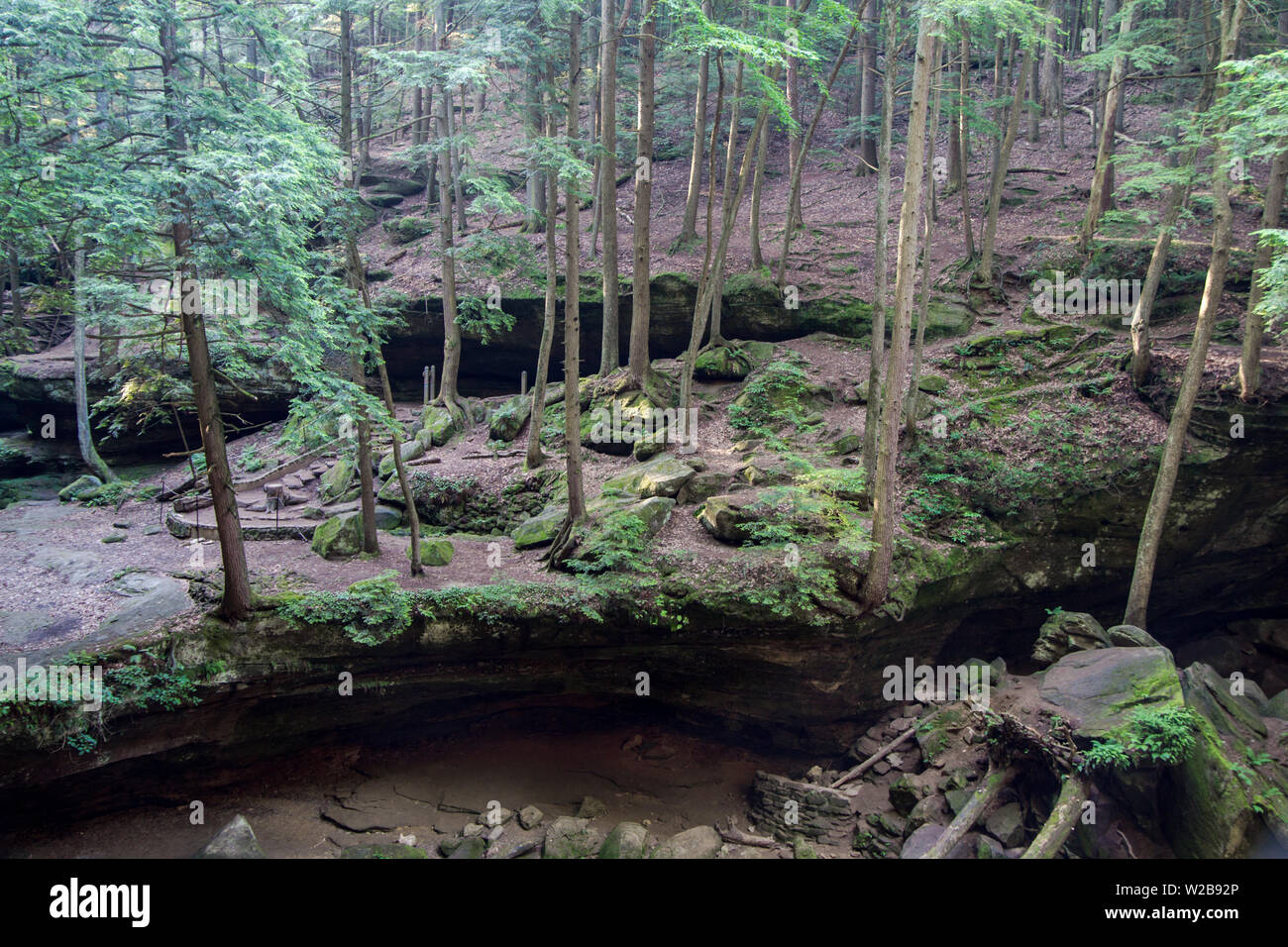 Saving The Hemlocks. Ohio's Hocking Hills State Park is leading the way in treating a disease that is decimating America's Hemlock trees in other area Stock Photo