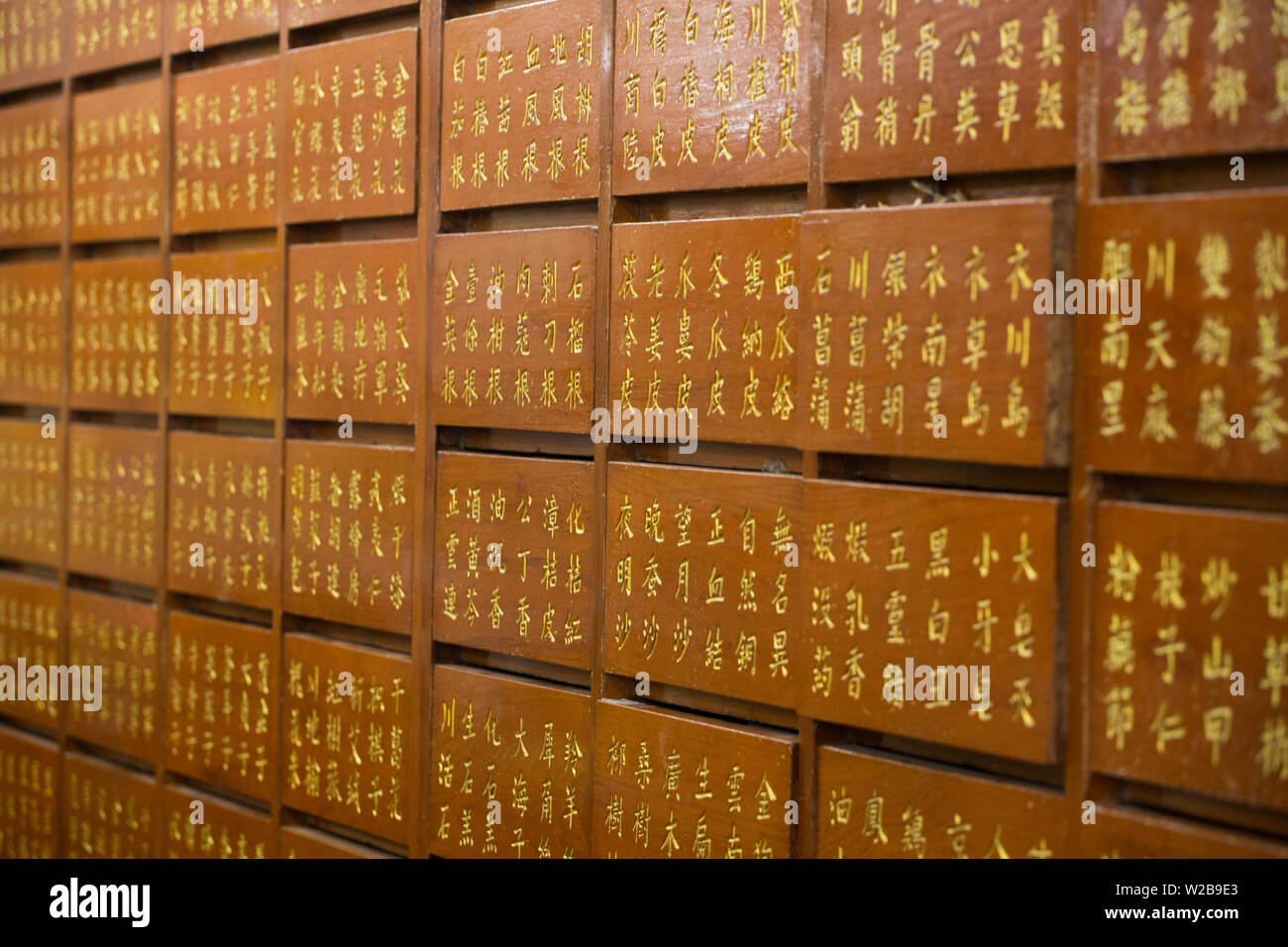 Traditional Chinese medicine wooden carved with herbs name to