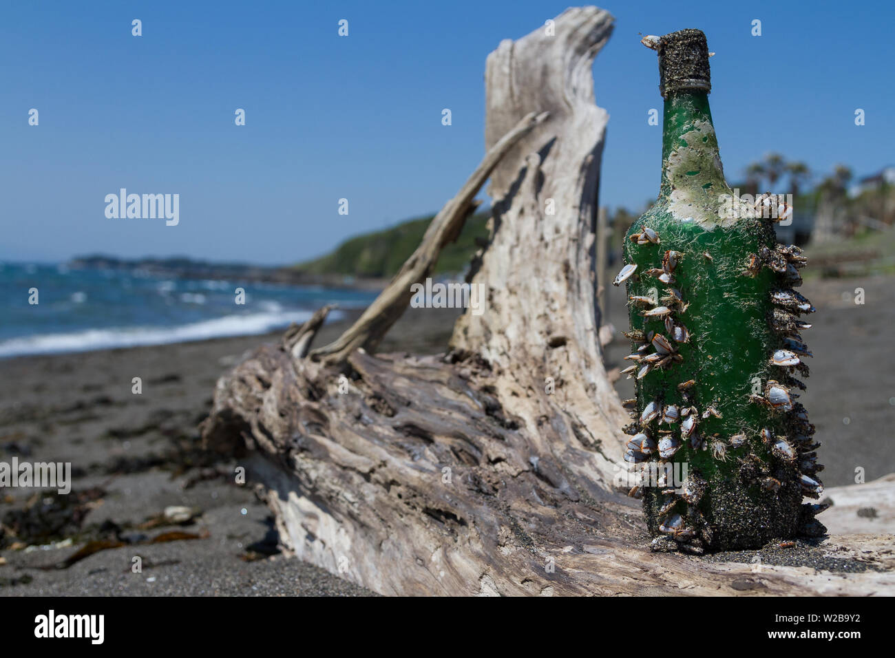 Old age barnacles hi-res stock photography and images - Alamy