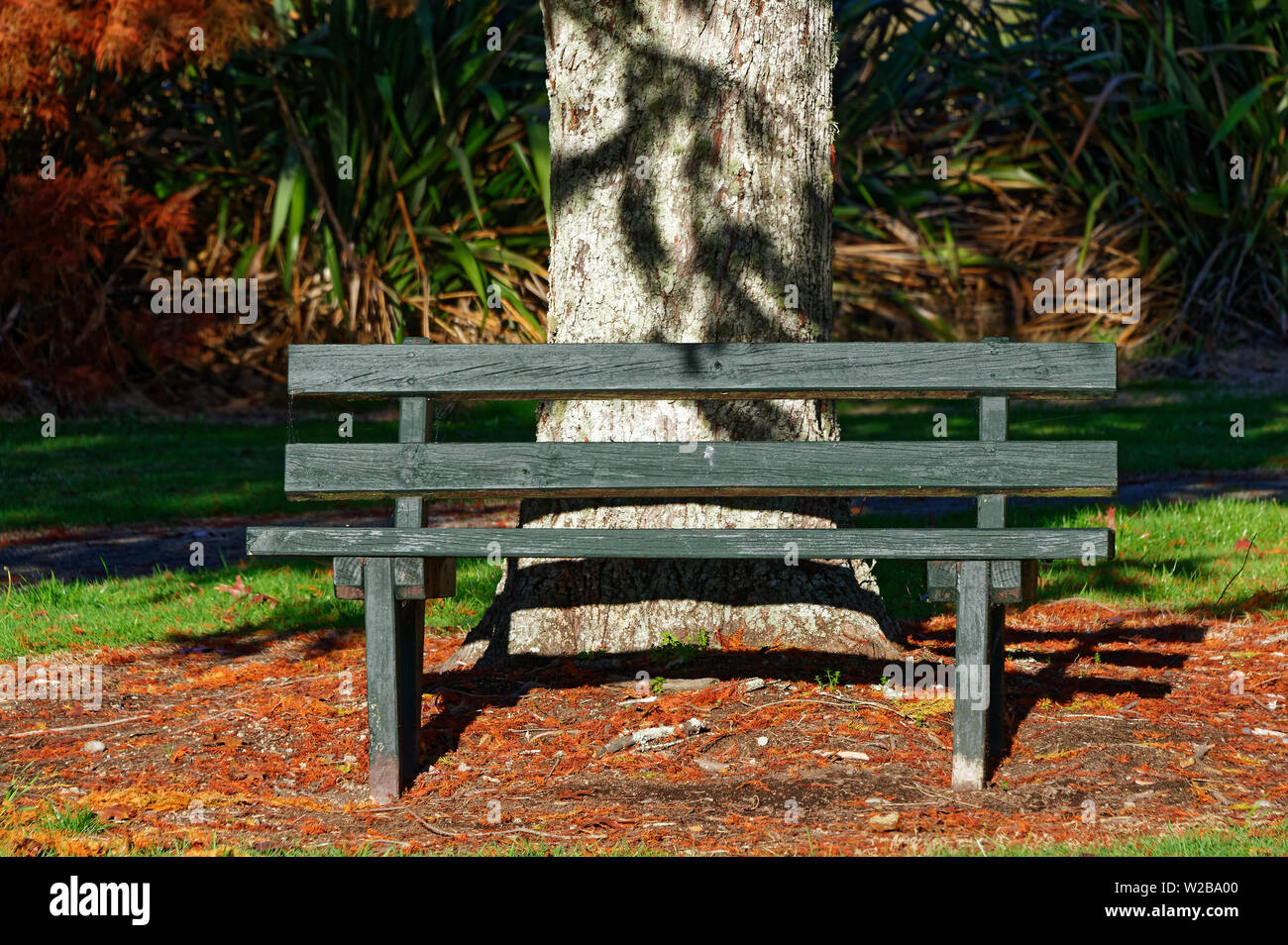 Empty wooden bench sits hi-res stock photography and images - Alamy