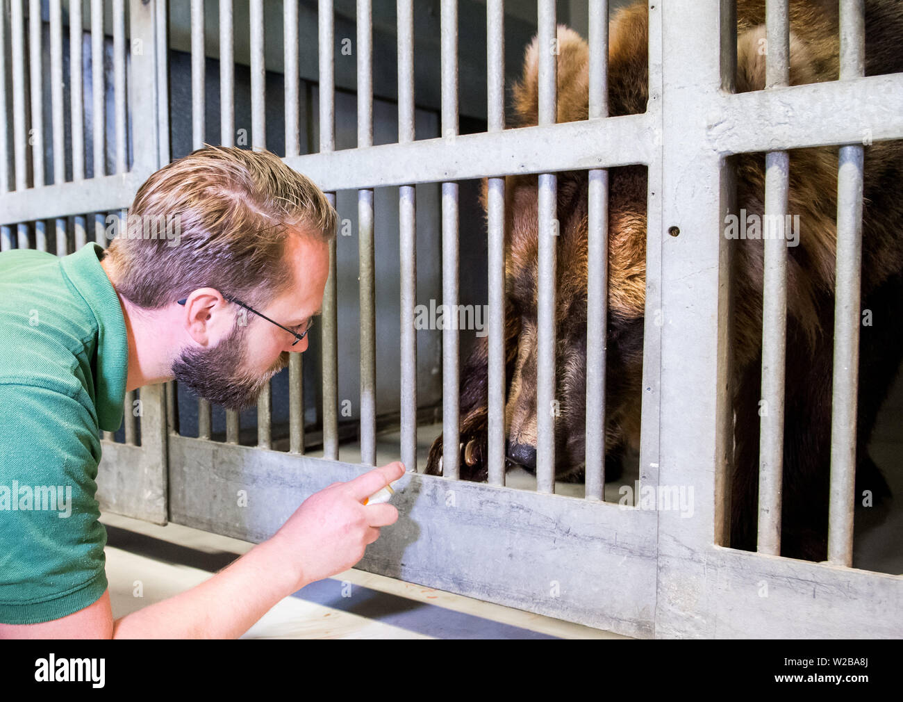 Hamburg, Germany. 18th June, 2019. Tobias Taraba, animal keeper, treats