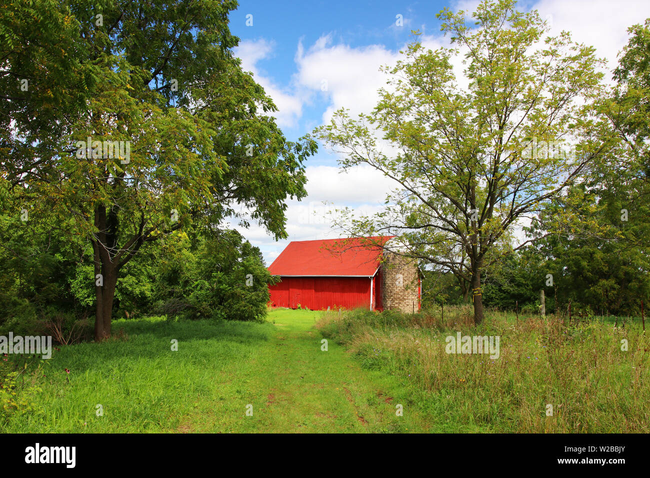 Beautiful summer rural landscape with classic red barn between trees. Midwest USA, Wisconsin, Madison area. Stock Photo