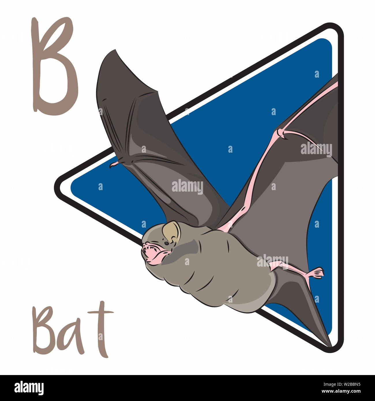 Bat triangle hi-res stock photography and images - Alamy