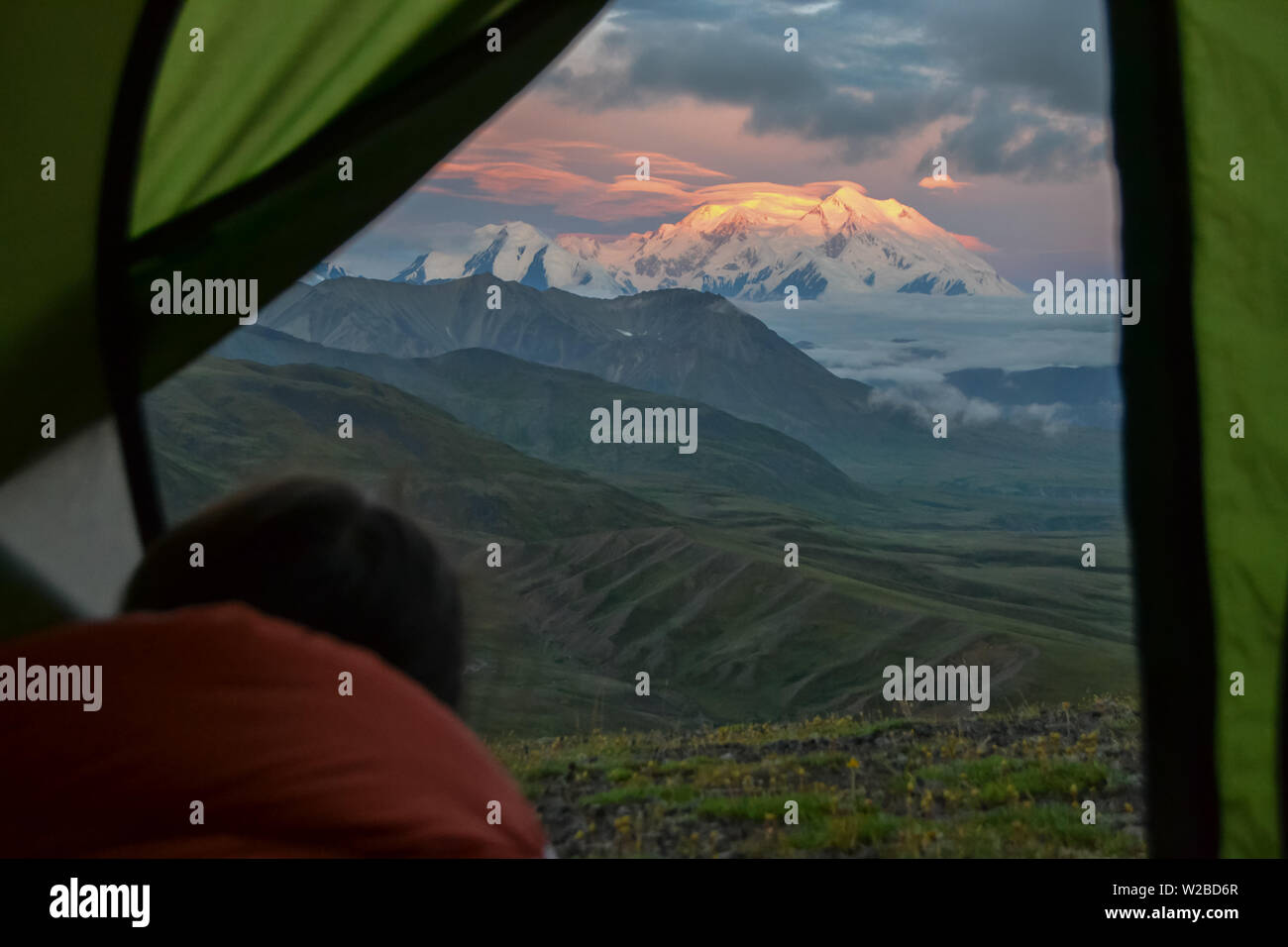 Person looking from a tent at sunrise view of Mount Denali - mt Mckinley peak with red alpenglow at Stony Dome overlook. Denali National Park Stock Photo