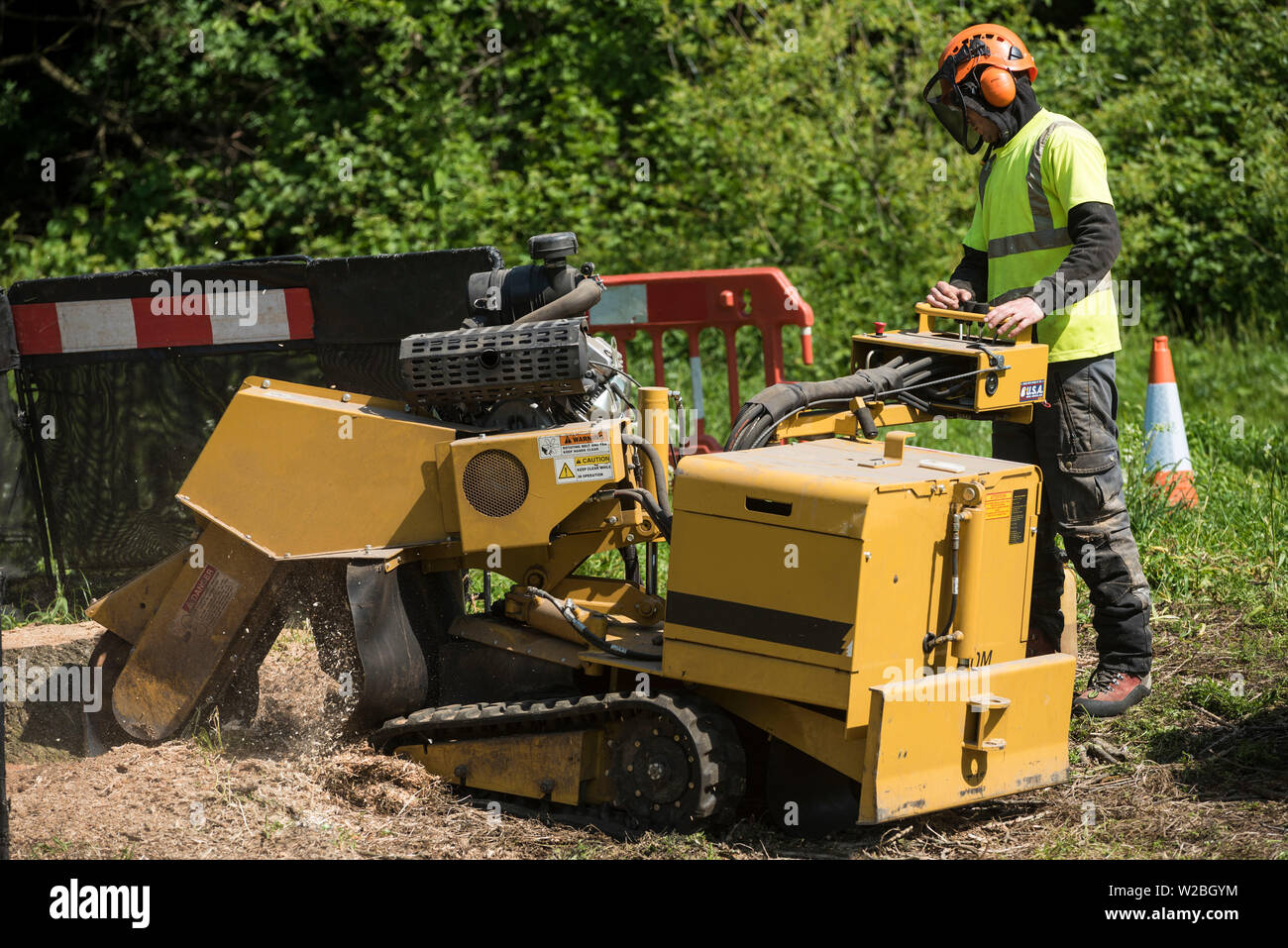 A man in full PPE is seen controlling an industrial stump grinder Stock