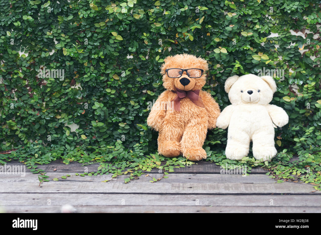 Vibrant outdoor photo of teddy bear sitting on the yard at the park with the white flower and green grasses Stock Photo