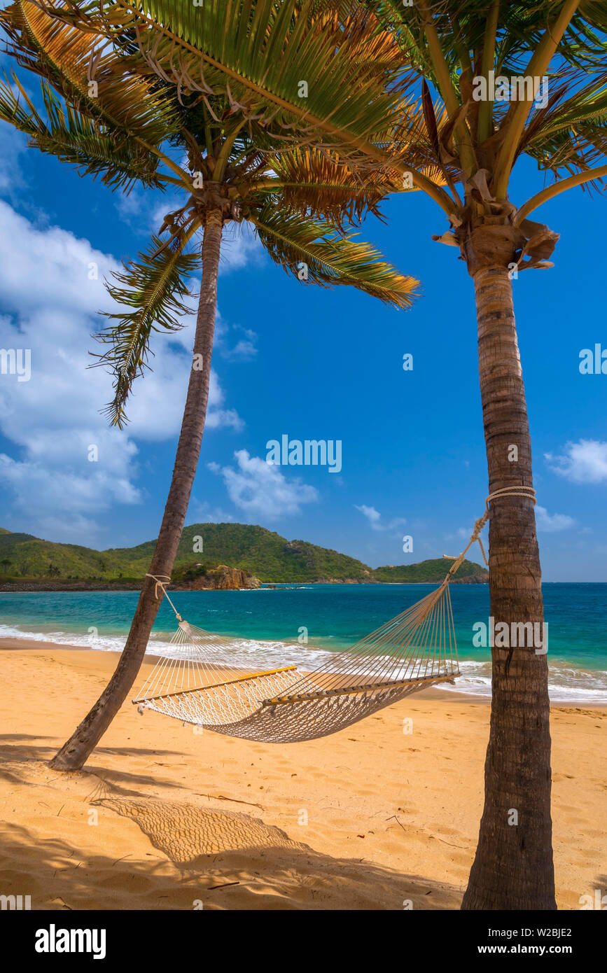 Caribbean, Antigua, Curtain Bluff, Curtain Bluff Beach, Hammock between Palm Trees Stock Photo