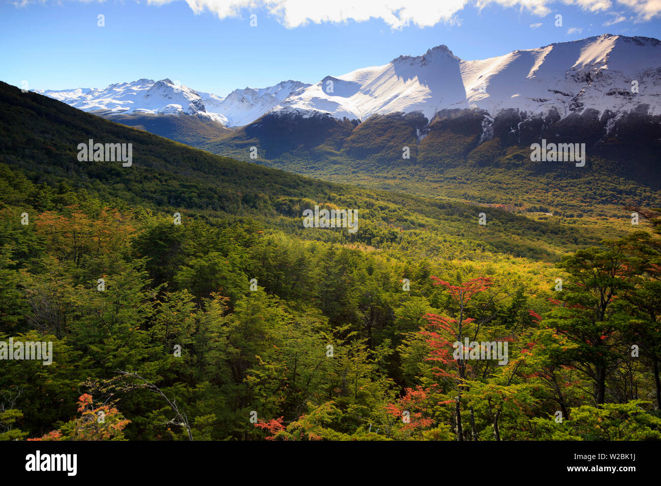Argentina, Tierra del Fuego, Ushuaia, Tierra del Fuego National Park Stock Photo