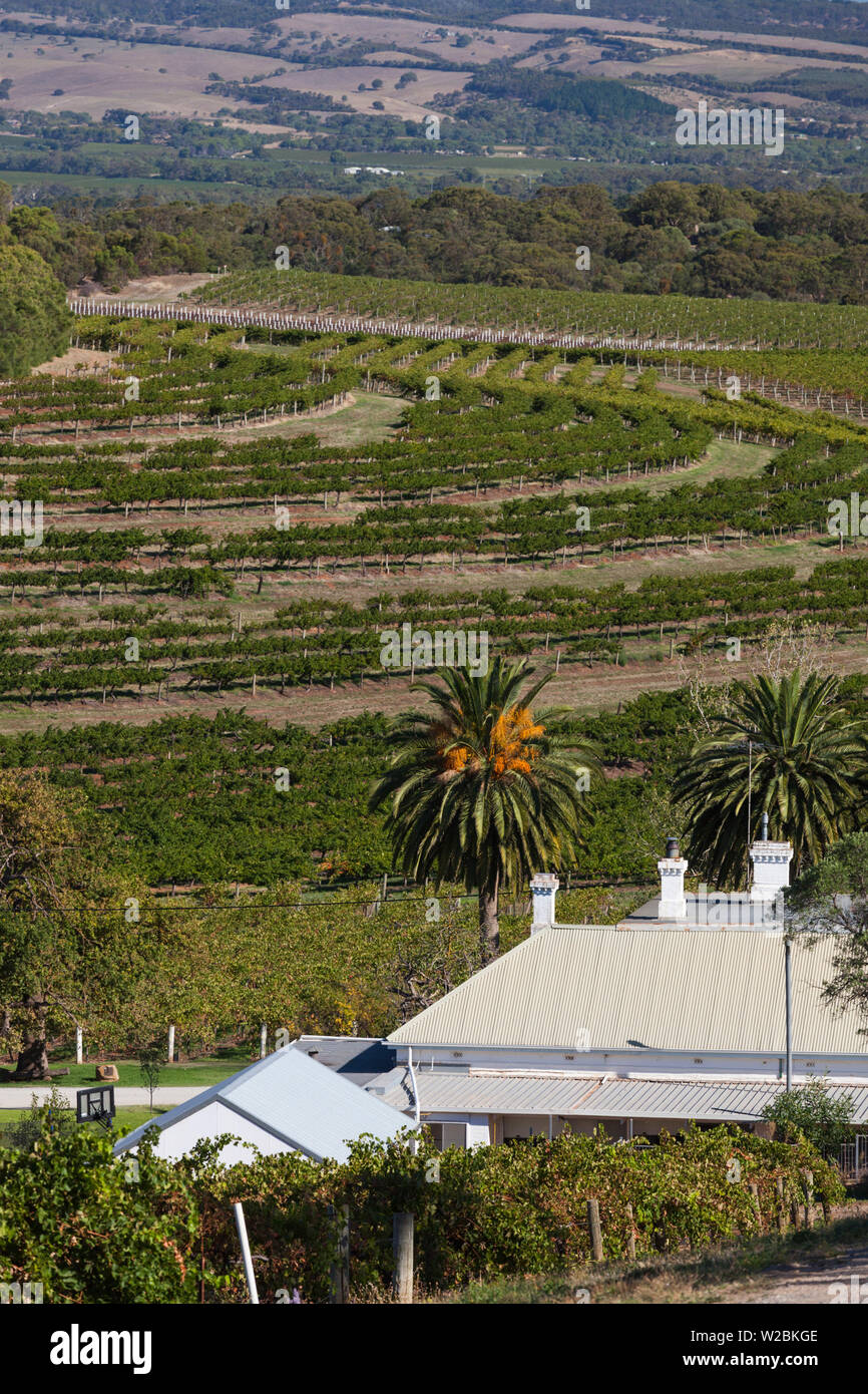 Australia, South Australia, Fleurieu Peninsula, McLaren Vale Wine
