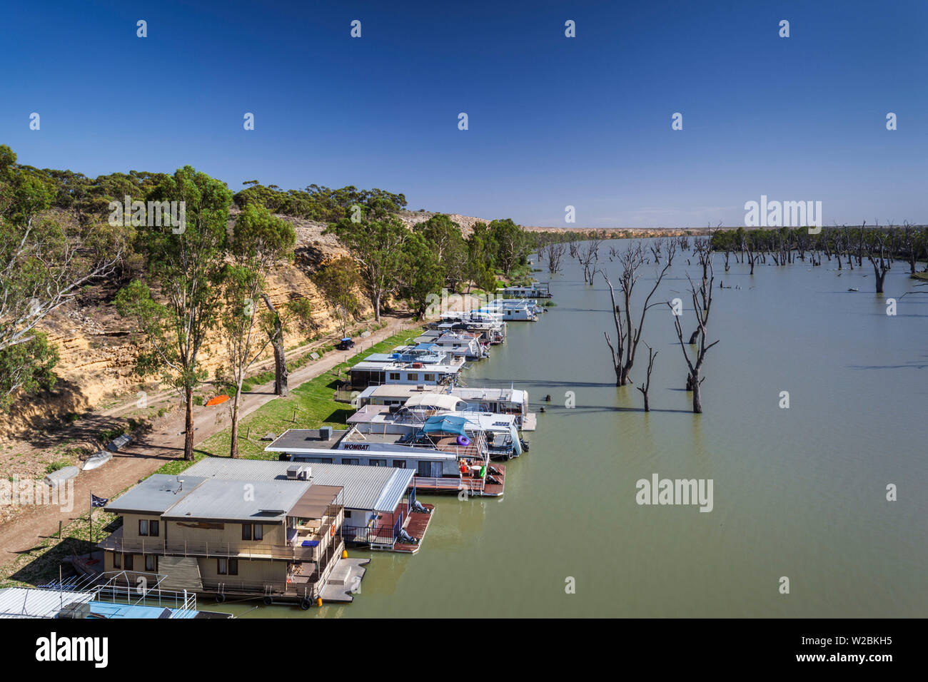Australia, South Australia, Murray River Valley, Blanchetown, Murray