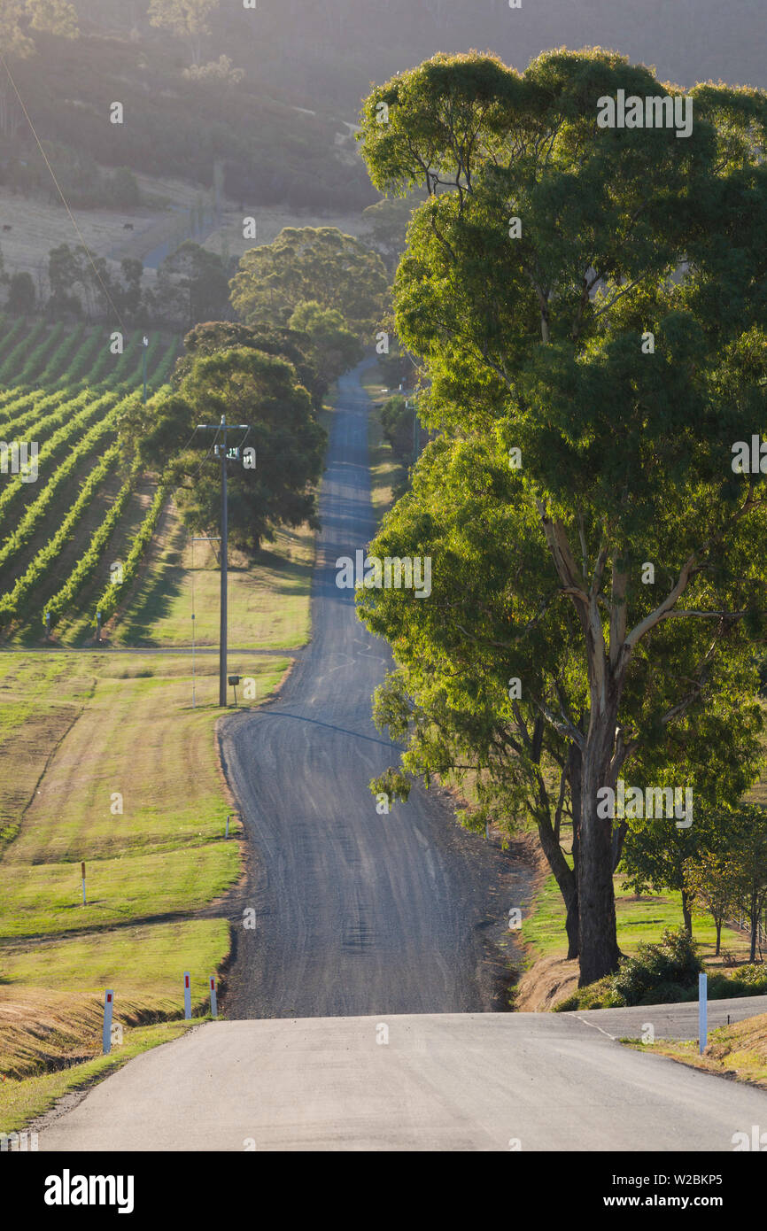Australia, Victoria, VIC, Yarra Valley, country road Stock Photo