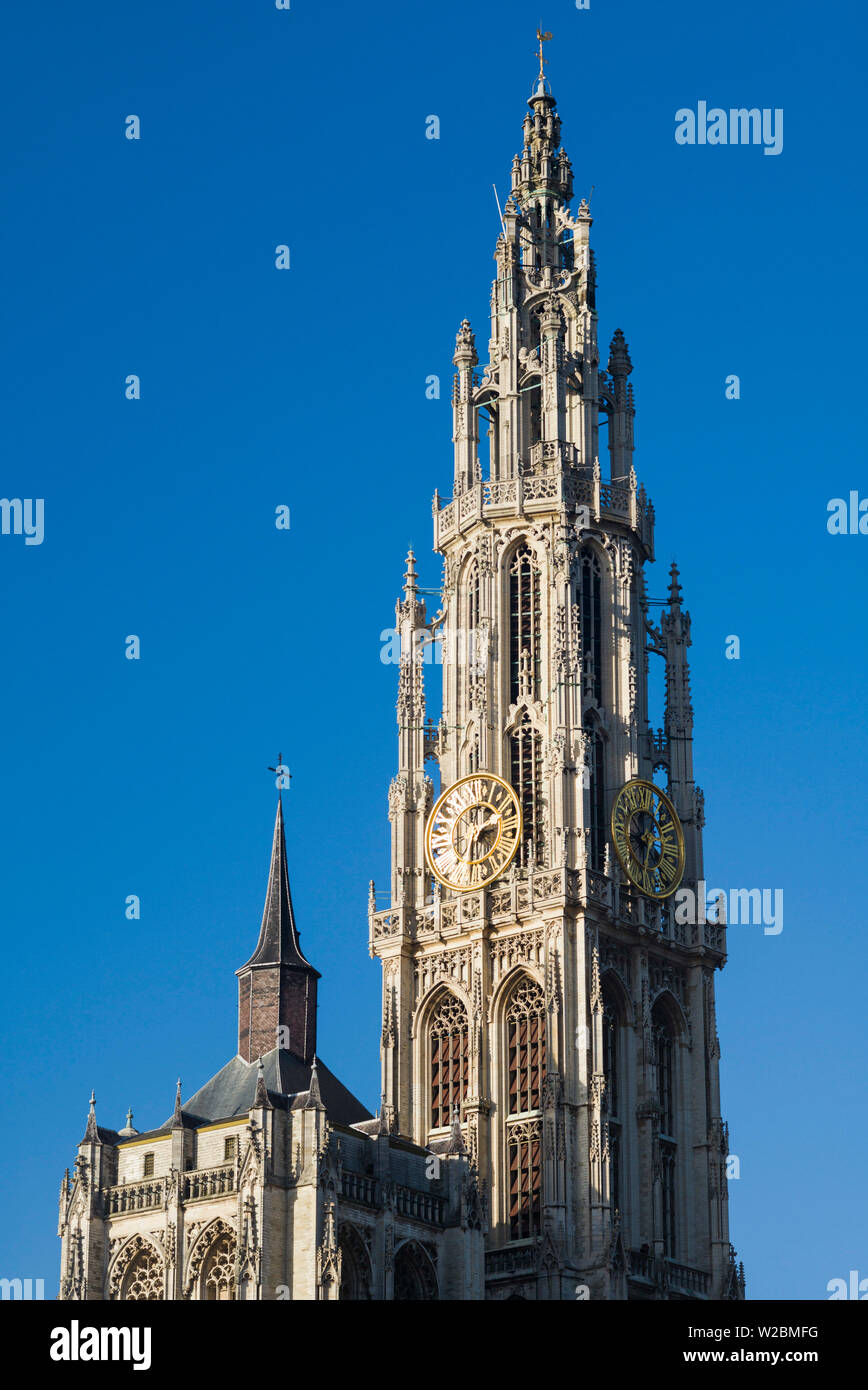 Belgium, Antwerp, Groenplaats,  Onze-Lieve-Vrouwekathedraal cathedral tower Stock Photo