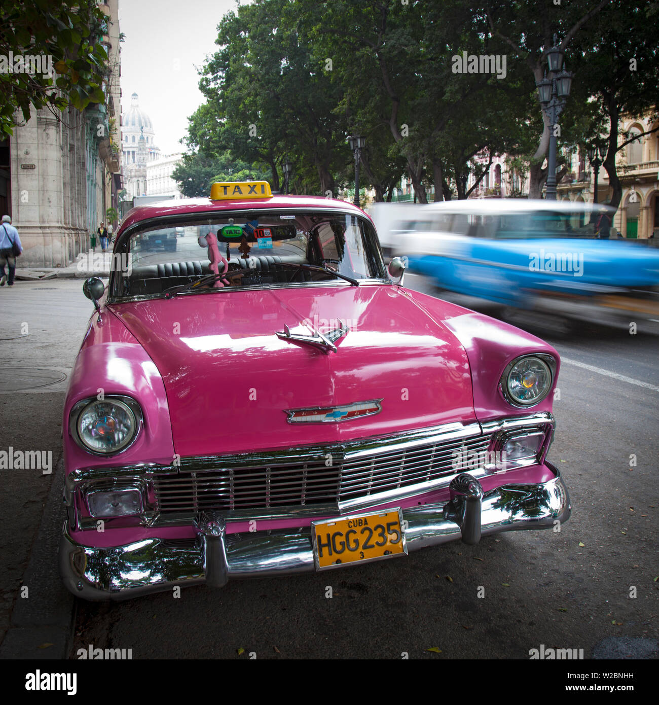 Classic American Car (Chevrolet), Paseo del Prado, Havana, Cuba Stock Photo