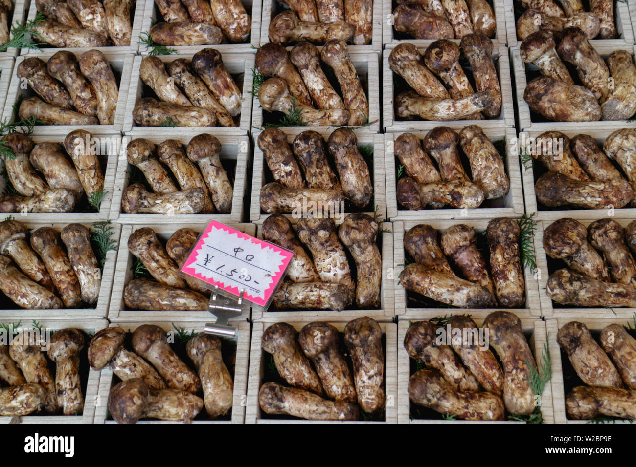 Expensive brown Japanese mushroom in boxes Stock Photo Alamy