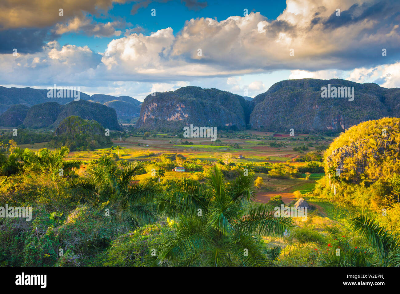 Vinales Valley, Pinar del Rio Province, Cuba Stock Photo