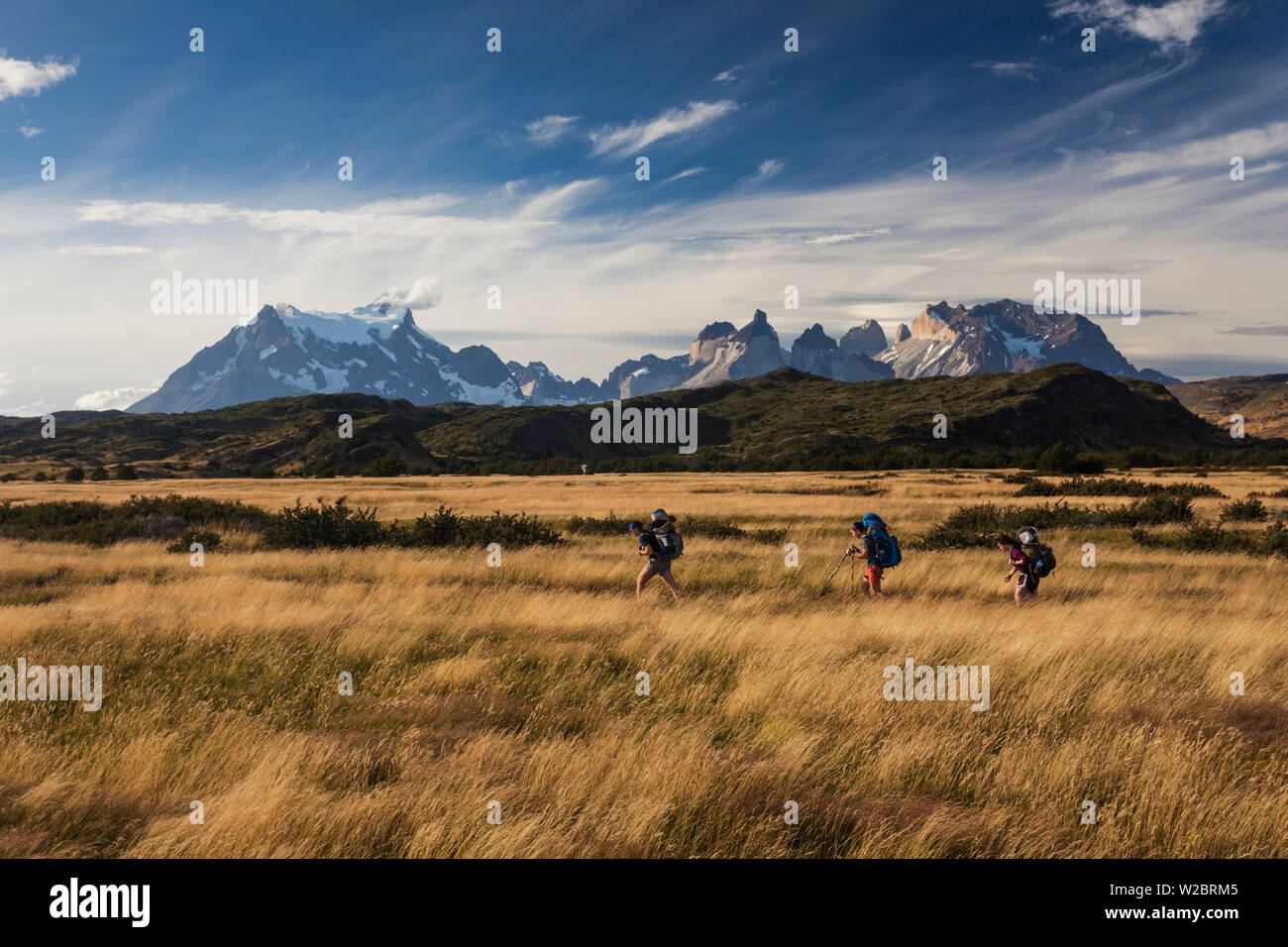 Chile, Magallanes Region, Torres del Paine National Park, landscape with hikers Stock Photo