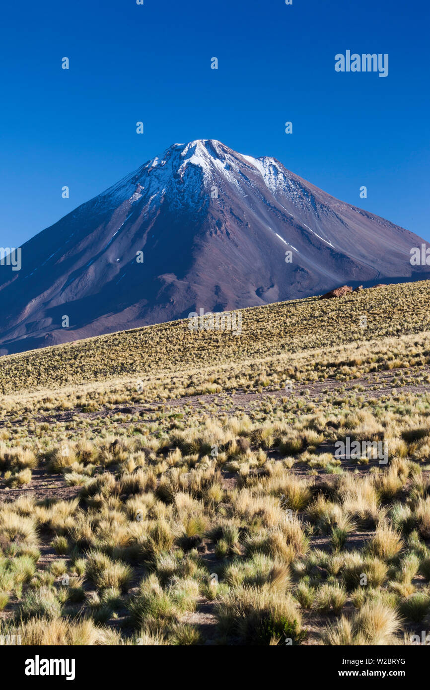 Chile, Atacama Desert, San Pedro de Atacama, Ruta 27 CH highway, view of the Volcan Chacabuco volcano Stock Photo