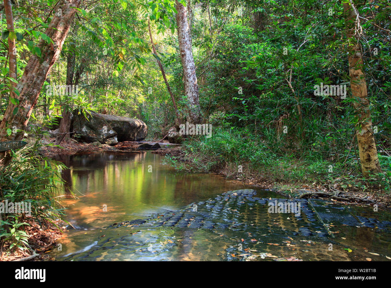 Cambodia, Temples of Angkor (UNESCO site), Kbal Spean, riverbed carving of Lingas (phallic symbols) Stock Photo