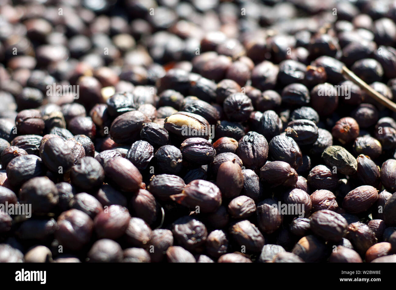 Marcos de costa hires stock photography and images Alamy