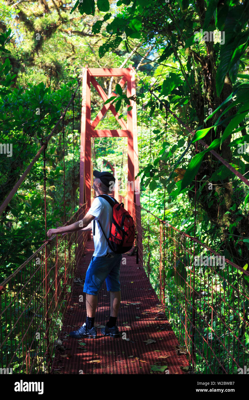 Costa Rica, Monteverde, Monteverde Biological Reserve, Cloudforest, hanging bridge (MR) Stock Photo