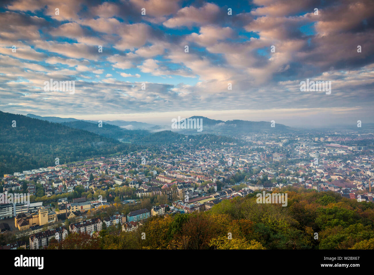 Germany, Baden-Wurttemburg, Black Forest, Freiburg-im-Breisgau, elevated city view from Schlossberg mountain, morning Stock Photo