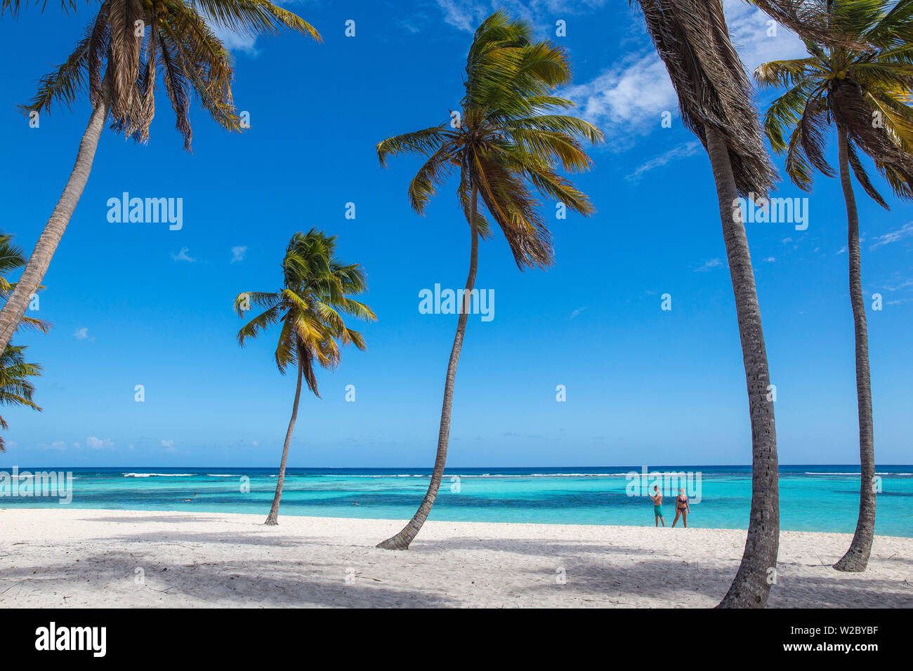 Dominican Republic, Punta Cana, Parque Nacional del Este, Saona Island, Canto de la Playa Stock Photo