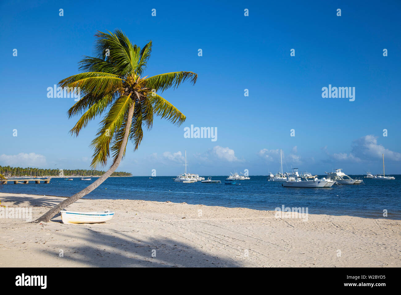 Dominican Republic, Punta Cana, Canoe under palm tree on Playa Cabeza de Toro Stock Photo