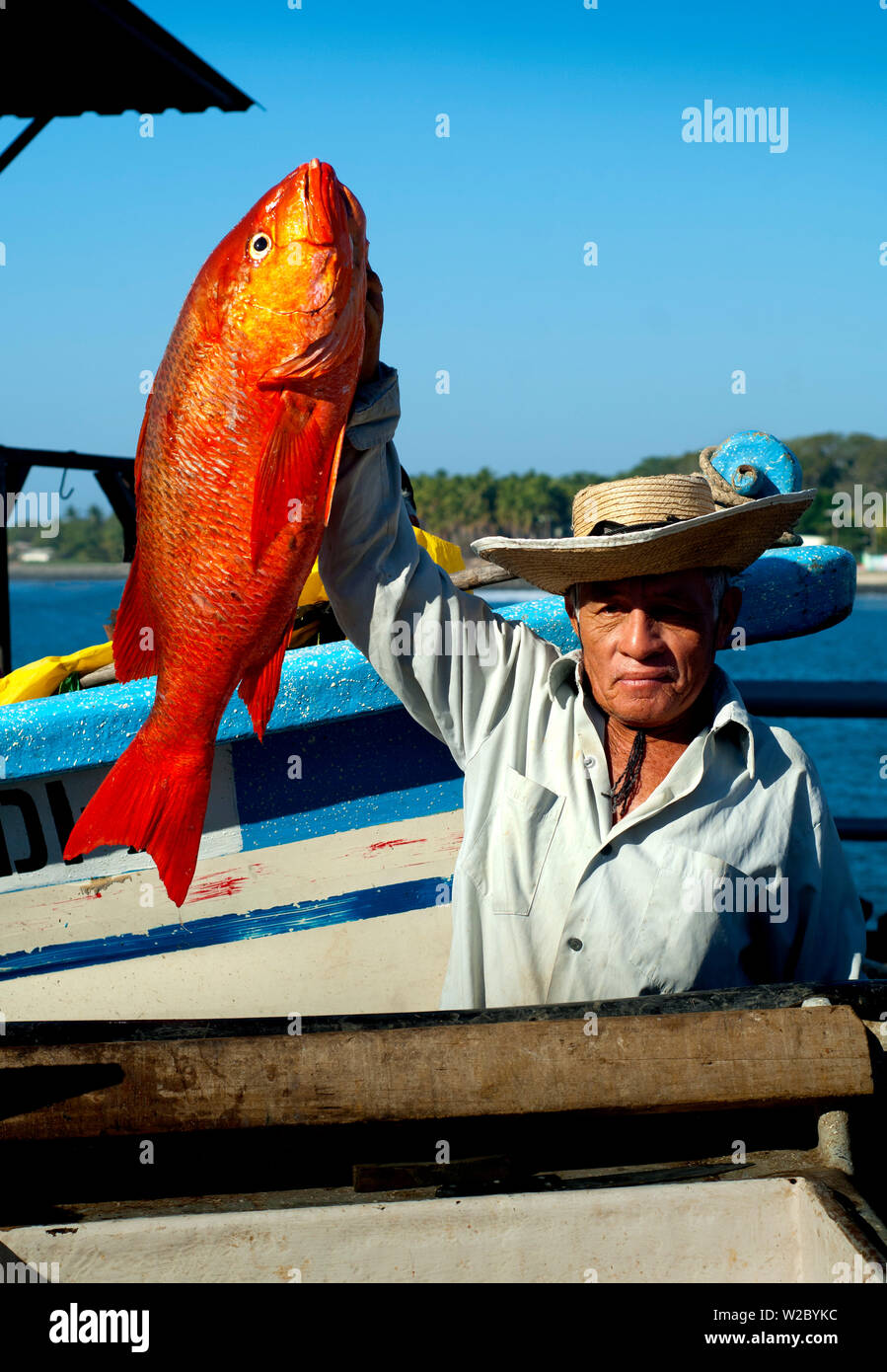 La Libertad, El Salvador, Fish Buyer, Red Snapper, Fish Market, Pier, Pacific Ocean, Puerto De La Libertad, Port Of Freedom, Department Of La Libertad Stock Photo