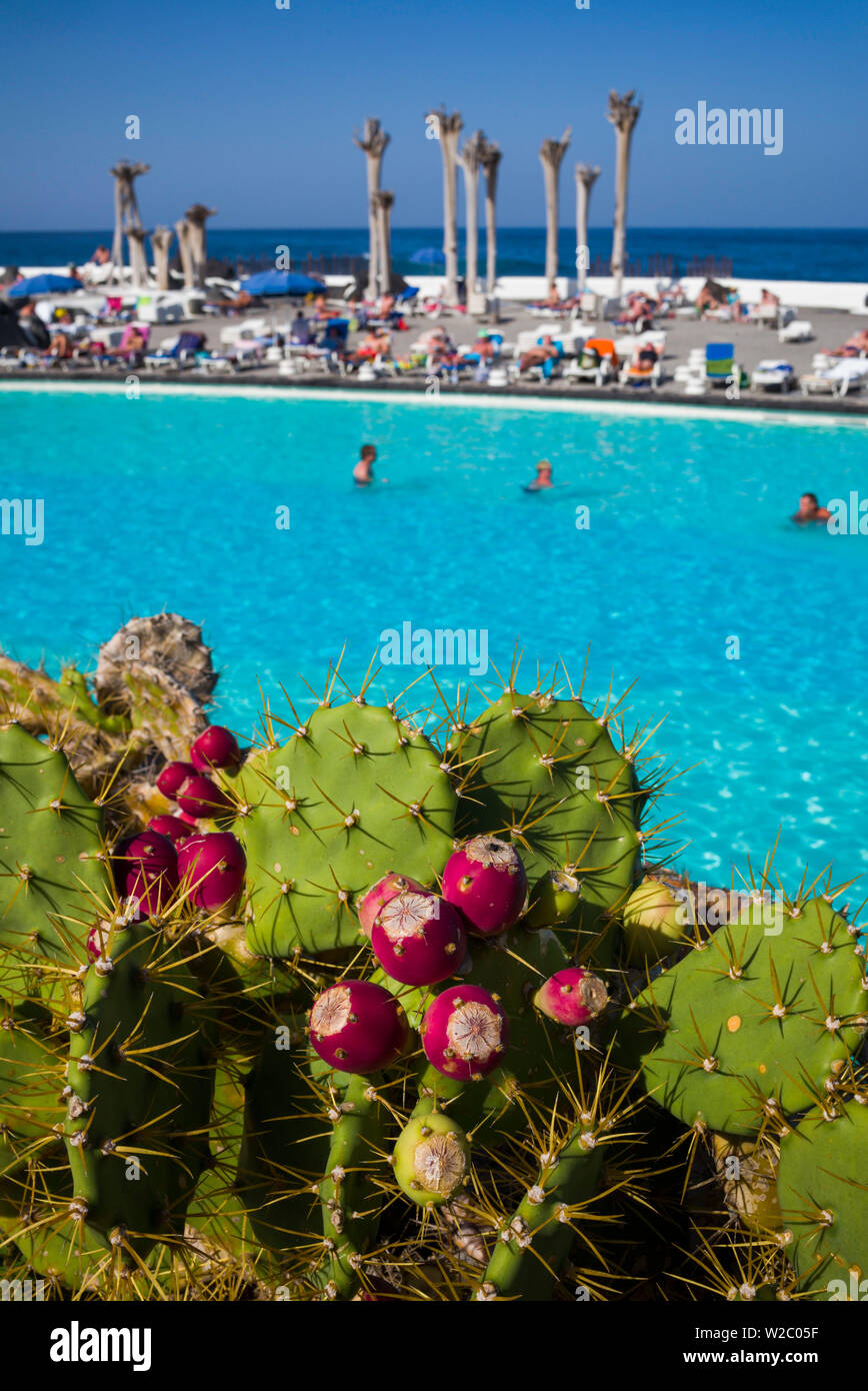 Spain, Canary Islands, Tenerife, Puerto de la Cruz, Lago Martianez, water park designed by artist Cesar Manrique, cactus Stock Photo