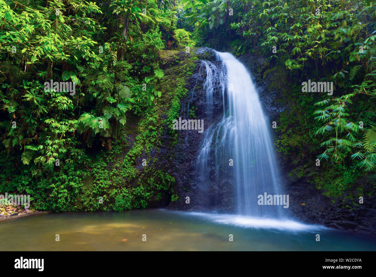 Caribbean, Martinique, Cascade de Saut Gendarme (Leaping Constable Waterfall) Stock Photo