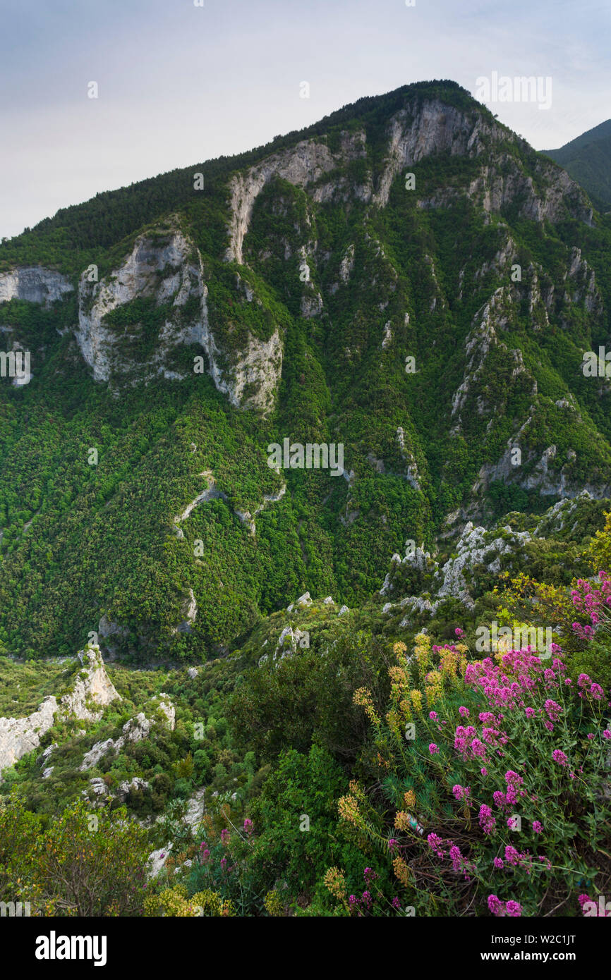 Greece, Central Macedonia Region, Litohoro, Mount Olympus, elevated view of the Enipeas Gorge Stock Photo