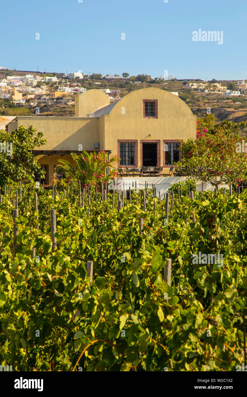 Sigalas winery cheap