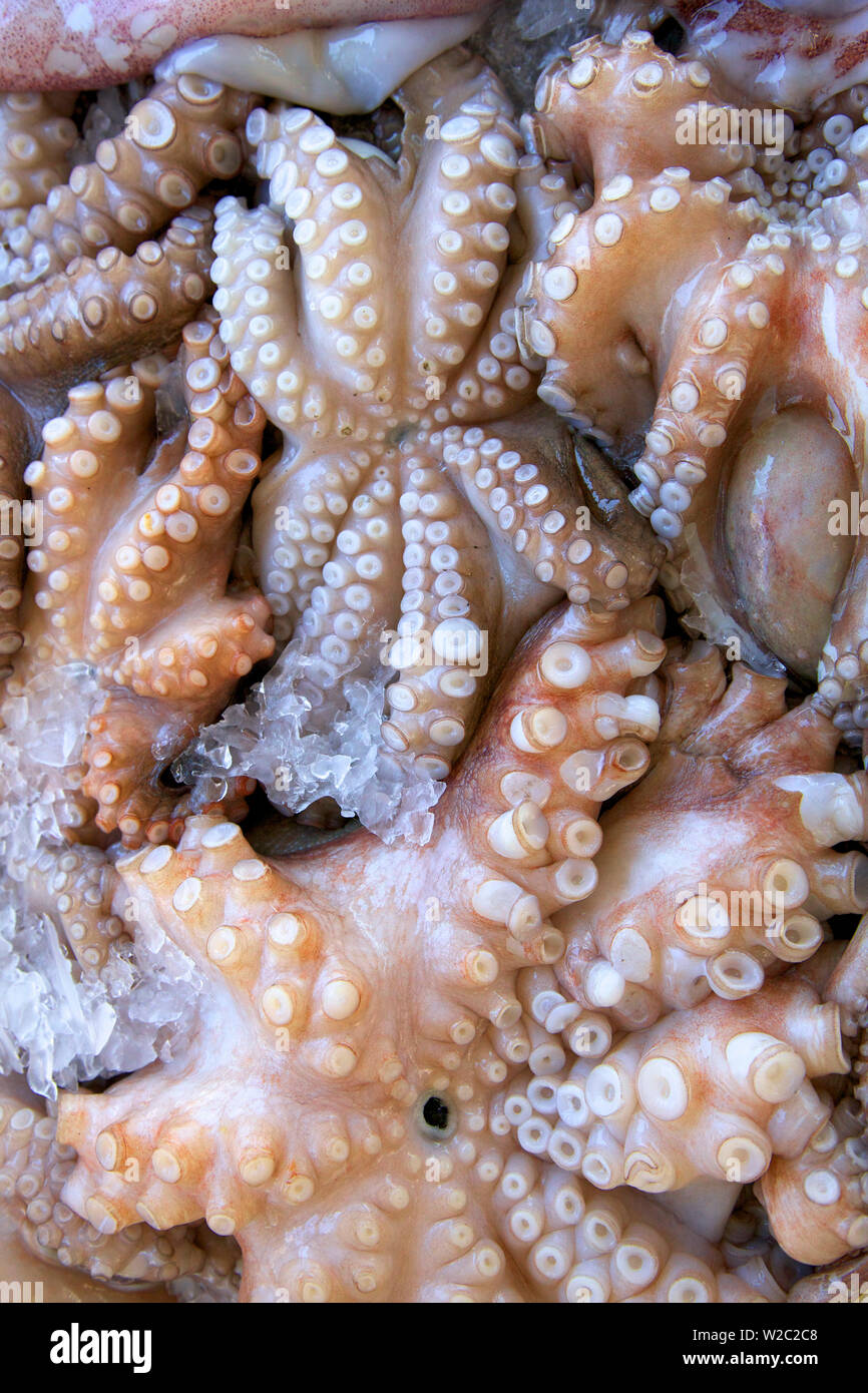 Octopus In The Market, Kalymnos, Dodecanese, Greek Islands, Greece, Europe Stock Photo