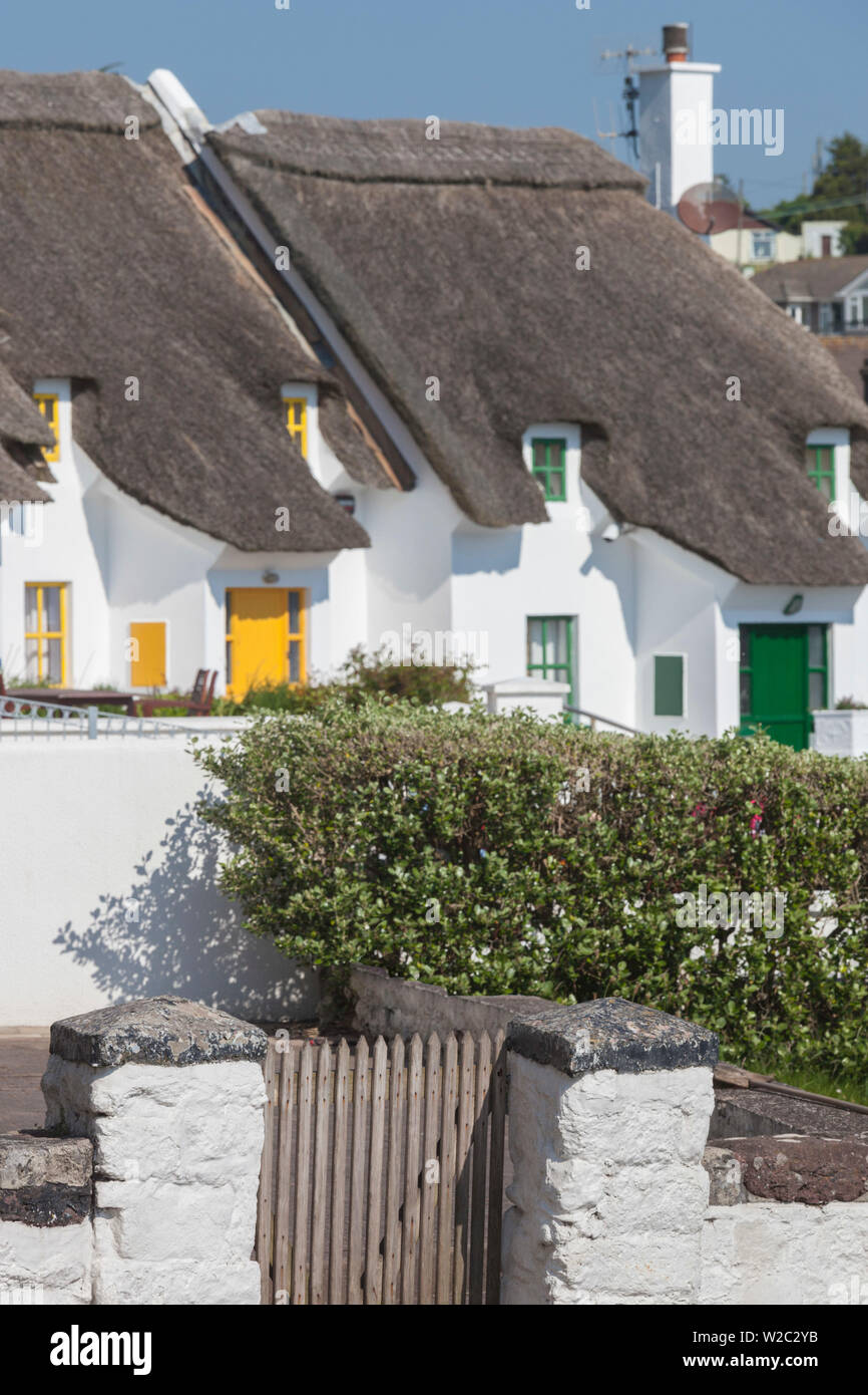 Ireland, County Waterford, Dunmore East, traditional cottage detail Stock Photo
