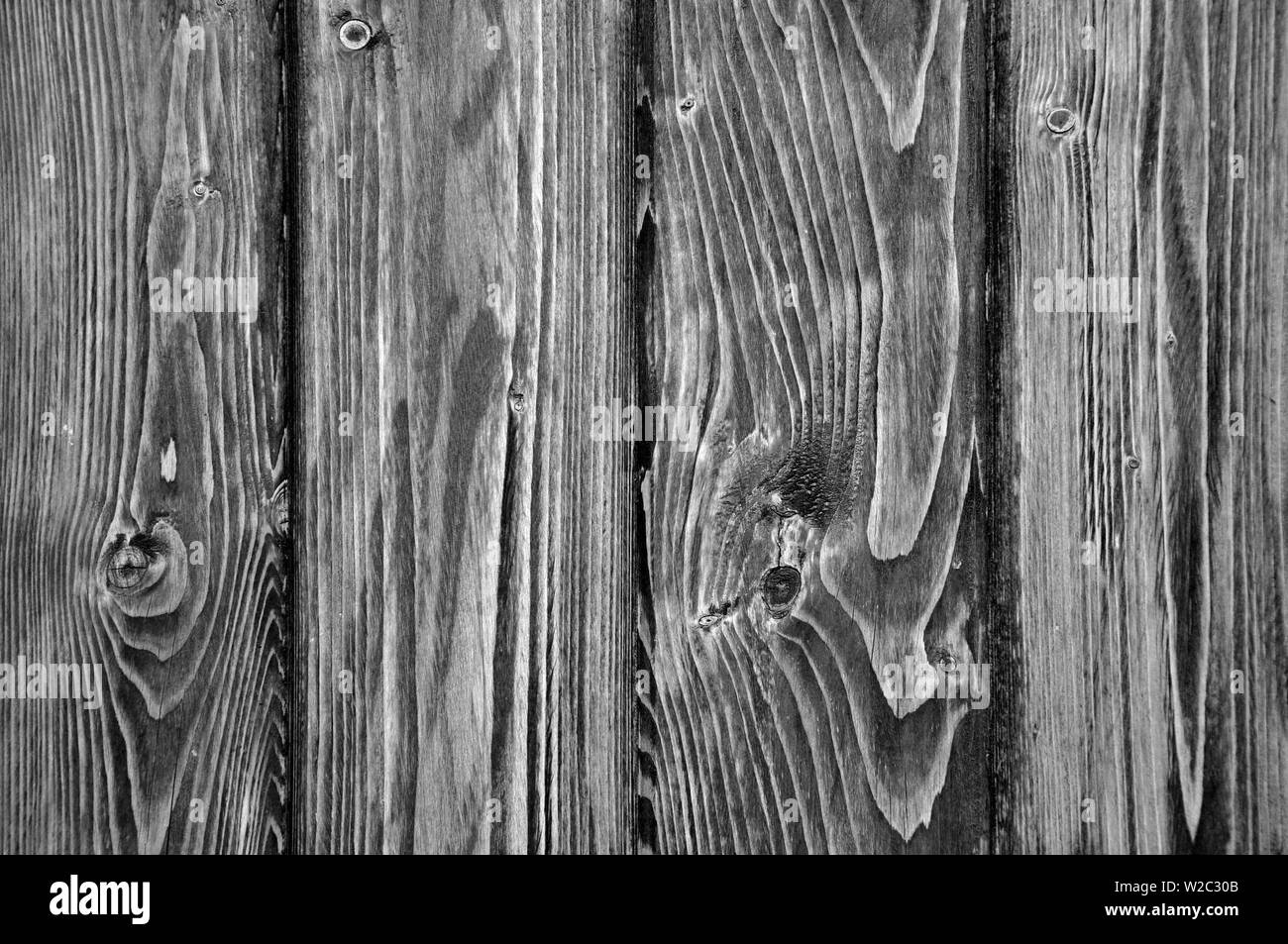 Old textured wood panel. Wood texture. Element for designers Stock