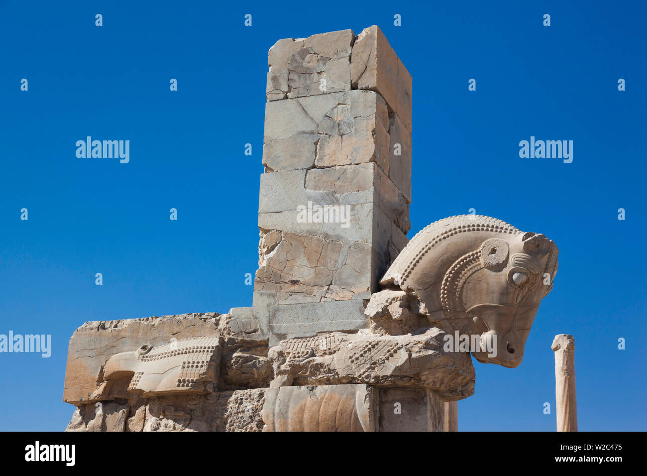 Iran, Central Iran, Persepolis, 6th century BC ancient city, horse monument Stock Photo