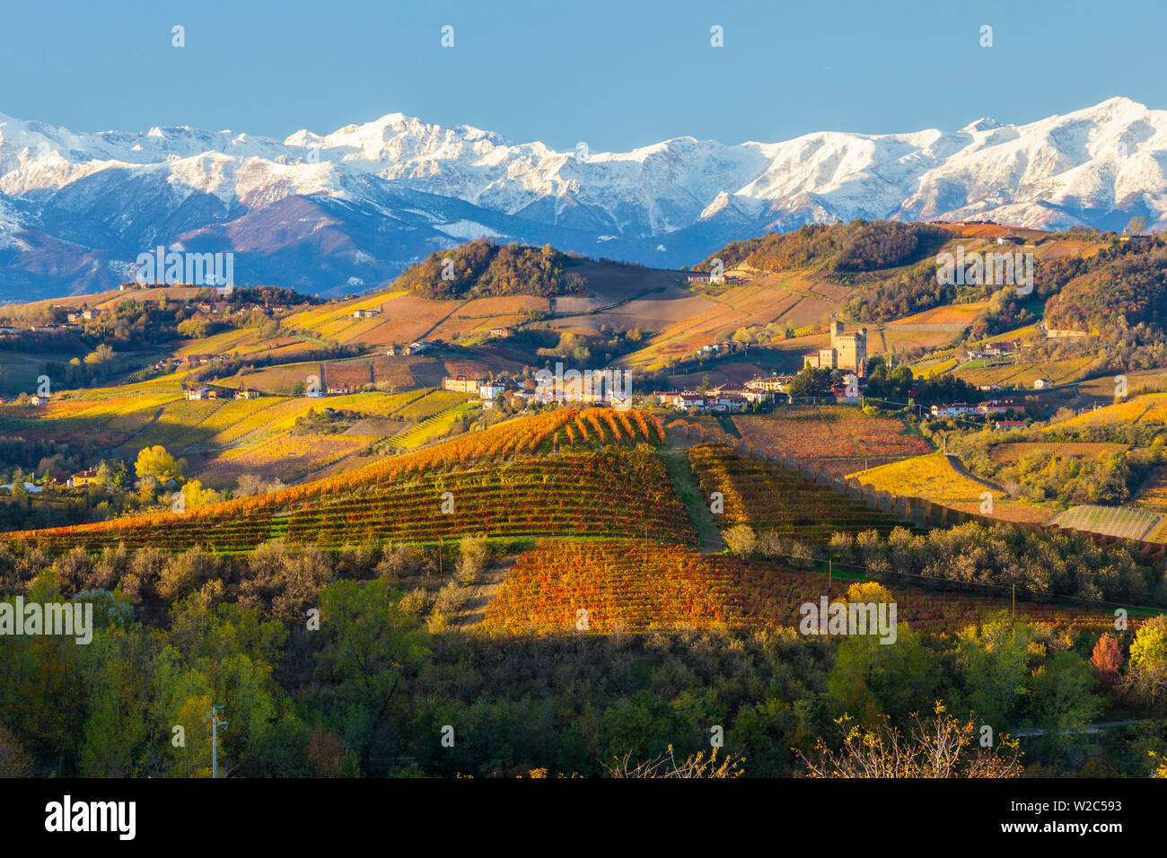 Vineyards & castle, Grinzane Cavour, Cuneo district, Langhe, nr Alba, Langhe, Piedmont (or Piemonte or Piedmonte), Italy Stock Photo