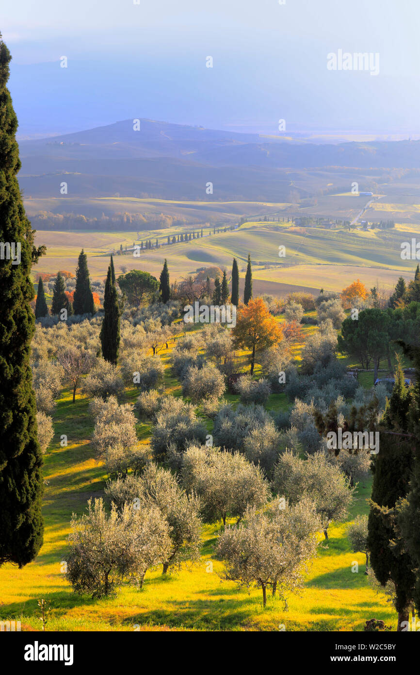 View of Val dâ€™Orcia (Valdorcia), Pienza,Tuscany, Italy Stock Photo