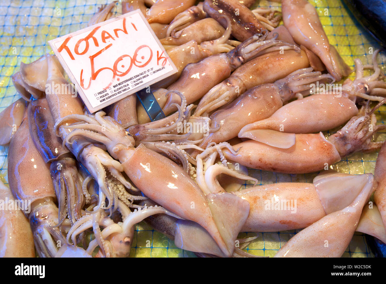 Squid, Fish Market, Ortygia, Syracuse, Sicily, Italy Stock Photo