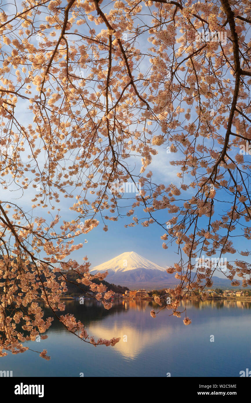 Japan, Yamanashi Prefecture, Kawaguchi-ko Lake, Mt Fuji and Cherry Blossoms Stock Photo