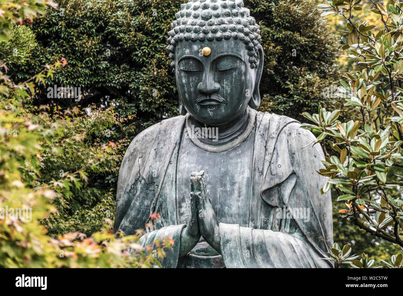 Buddha at Gokokusan Tenno ji Temple, Taito, Tokyo, Japan Stock Photo