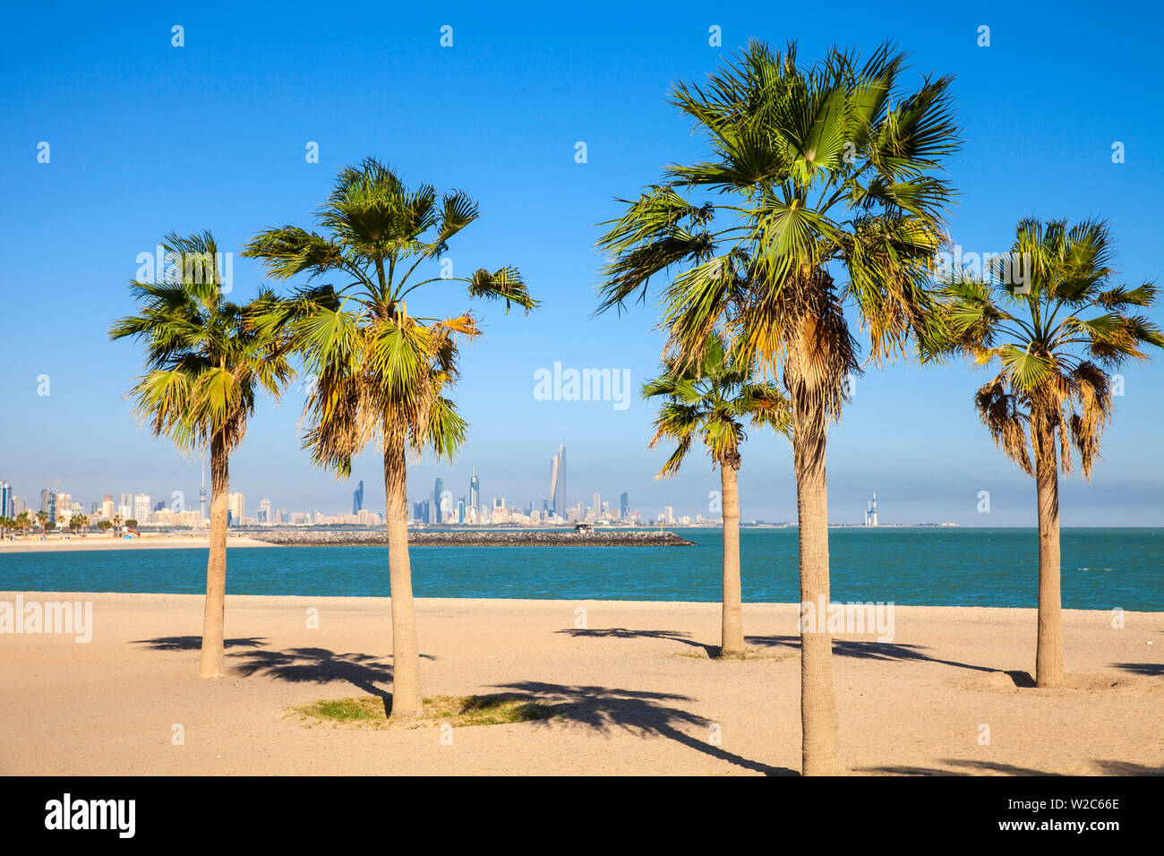 Kuwait, Kuwait City, Salmiya, Palm beach with city skyline in background Stock Photo