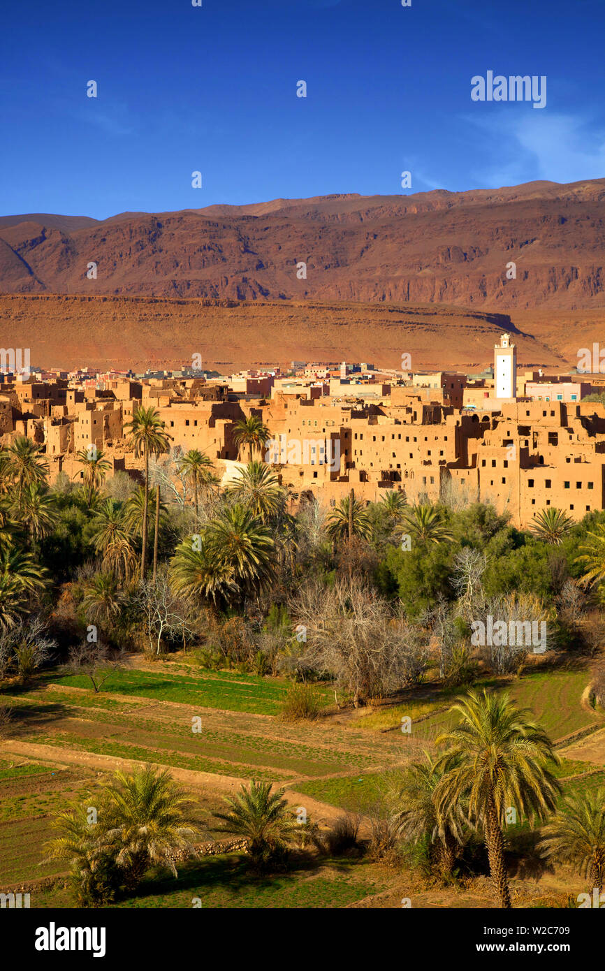 Road To Todra With Oasis, Tinghir, Morocco, North Africa Stock