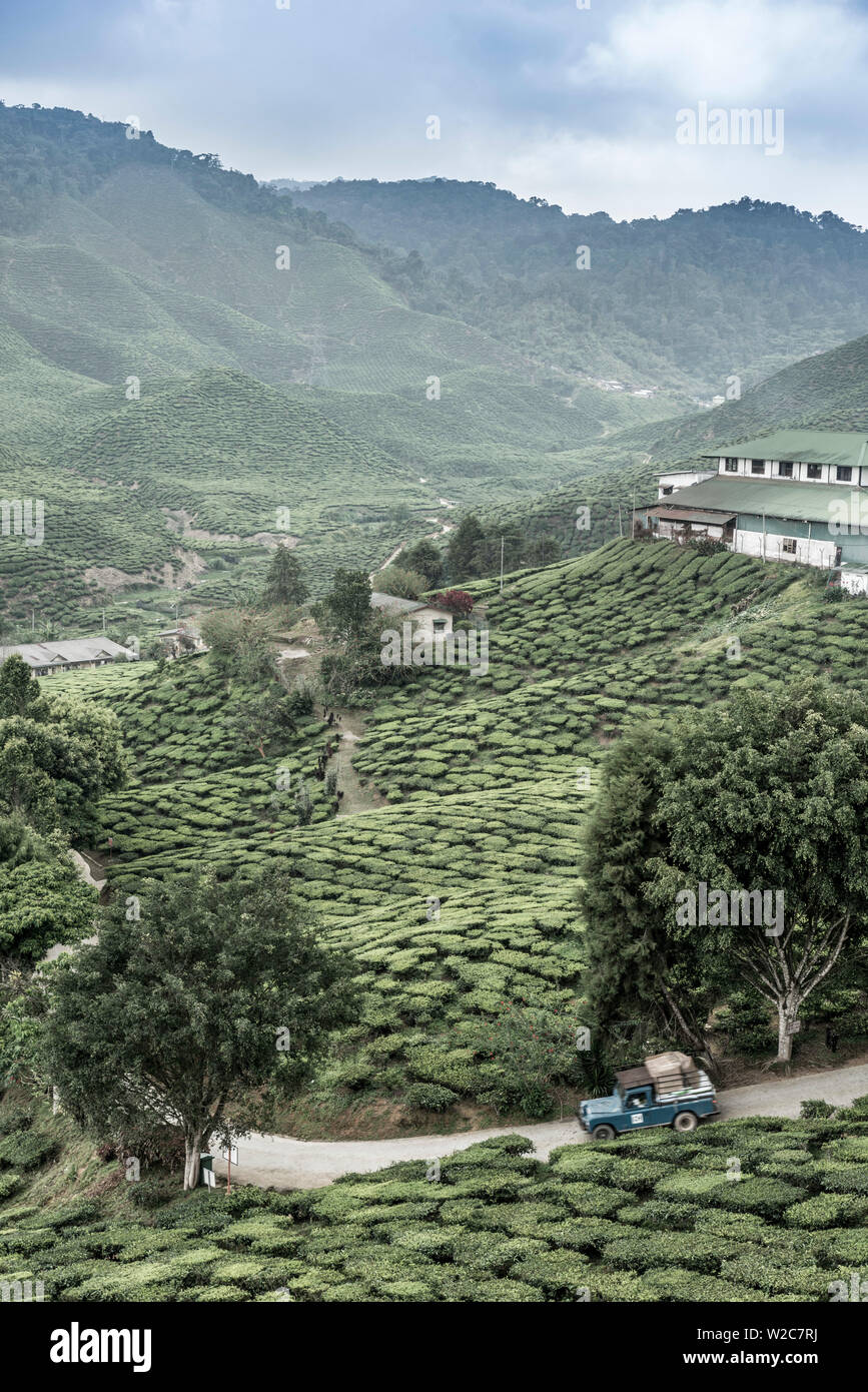 Cameron highlands car hires stock photography and images Alamy